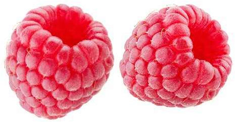 Himbeere Rubus idaeus ‘Ottawa’ 30-35 cm – Herbst-Himbeere im Topf, winterhart, aromatische Früchte, ertragreich, ideal für Garten & Balkon