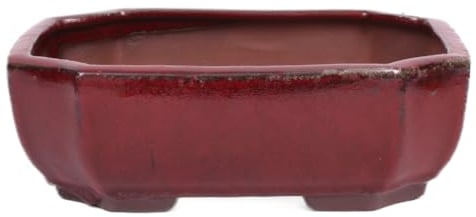 generisch Bonsai - Schale eckig 21 x 16 x 7.3 cm, Bordeaux 22124