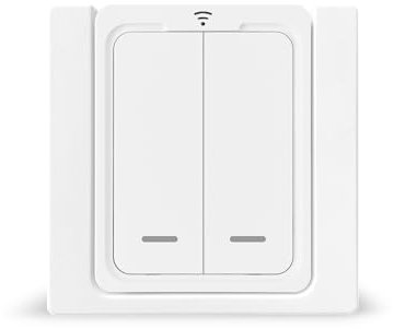 Une seule télécommande sans fil à 2 boutons (Accessoires)