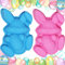 2 Pièces Moule En Silicone Lapin Pâques, Pâques en Silicone pour Lapin, Moule à Gâteau 3D en Forme de Lapin, Moule En Silicone Lapin Mousse, Moule de Cuisson pour Desserts Savons Pain, Bleu + Rose
