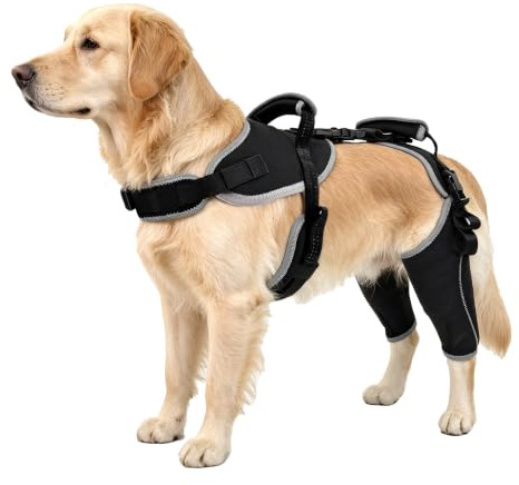 LISPOO Dog Knee Brace for Torn ACL/CCL Hind Leg-Both Leg-Upgraded/L | Adjustable Support With Sufficient Wrapping and Support & Luxating Patella,Non-Slip Joint Brace,Pain Relief&Better Recovery