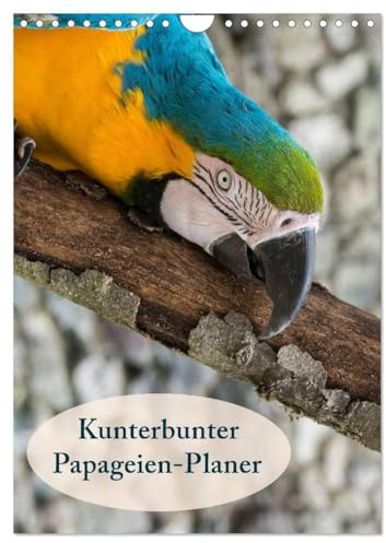 Kunterbunter Papageien-Planer (Wandkalender 2026 DIN A4 hoch), CALVENDO Monatskalender: Planer mit kunterbunten Papageien (CALVENDO Tiere)