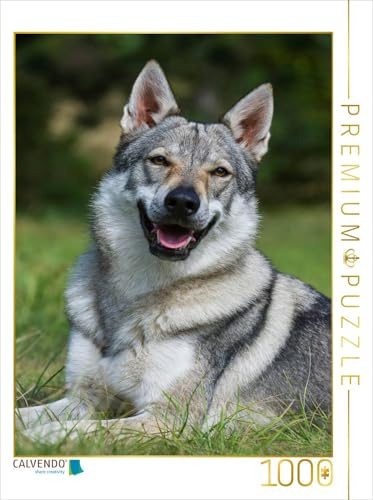 CALVENDO Puzzle EIN Motiv aus dem Kalender Faszination Wolfhund | 1000 Teile Lege-Größe 48 x 64 cm Foto-Puzzle für glückliche Stunden