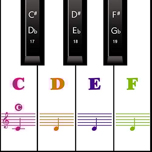 MUYOS Piano Keyboard Stickers for 54/61/88 Keys – Transparent & Removable Piano Keyboard Note Stickers and Piano Key Labels for Kids and Beginners (Sticker FullColor)