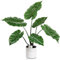 Leflos 68cm Planta Artificial Monstera Deliciosa para Interior, Alocasia Planta en Maceta Artificial, Pequeño árbol Tropical Artificial en Maceta Blanca