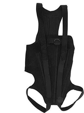 Rückenstütze für Hunde, langlebig, flexibel, Schmerzlinderung für kleine Hunde, Polyester, Starke Steifigkeit (M)