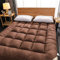 LIMIOFAQ Volle Größe Futon-Matratze Bodenmatratzen Japanische Tatami-Matte Schlafkissen Twin Full Queen King Size Bett mit rutschfesten Trägern,zusammenklappbar weich Schlafkissen,Kaffee,Twin