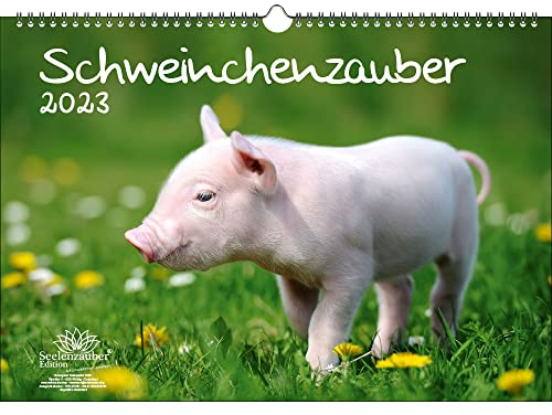Schweinchenzauber DIN A3 Kalender für 2023 Schweinchen - Seelenzauber, mehrfarbig, KN2023-3W-0049-D-0