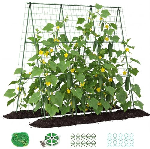 ZIKEBTUY Rankhilfe gurken 150x150cm Rankhilfe Rankbogen aus Metall Gartenbogengitter mit Gartenklammern und gedrehtem Riemen für Kletterpflanzen Wein Gemüse Obst Blumen Hof Rasen
