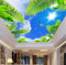 3D Wandbild Decke Foto Tapeten Blauer Himmel Sonnenschein Palme Seevögel 3D Stereo Tapete-430 * 300