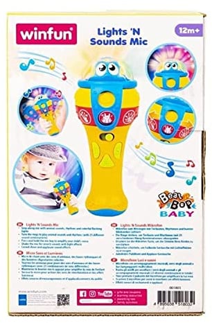 winfun Lights ‘N Sounds Mic