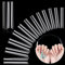 LIONVISON 3XL Faux Ongles Extra Longs, 240 Pcs Clairs C Courbe Carrés Embouts à Presser sur les Ongles, 12 Tailles Demi-Couverture Traceless Ongles Droits pour Acrylique Manucure Salon DIY Nail Art