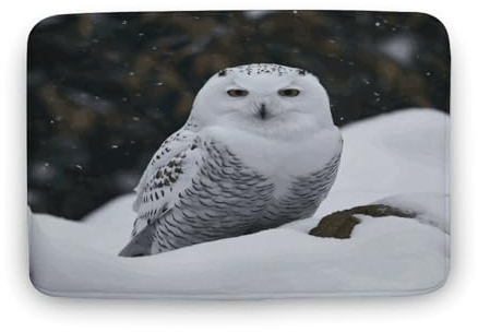 BFGWK Badteppich, super saugfähig, rutschfest, mit Schnee-Eulen-Druck, Badteppiche für Badezimmerboden
