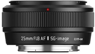 lenti， Compatibile con obiettivo for ritratti Sony E-Mount 25mm F1.8 APS-C Auto Focus STM X(Black,E-mount(APS-C))