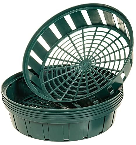 SIDCO Pflanzkorb 6 x Blumenzwiebel Pflanzschale Zwiebelkorb Tulpen Korb stabil 31cm Ø Korb stabil