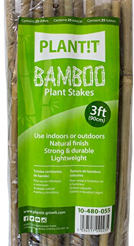Plant IT 10–480–055 Lot de 25 Tuteurs en Bambou de 90 cm Beige