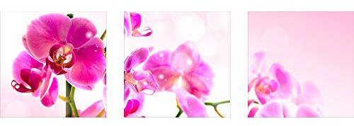 decorwelt | Dreiteiliges Wandbild 3 Teilig Acrylglasbilder Acryl Glasbild Orchidee Pink 90x30 cm Wandbilder Wohnzimmer Esszimmer Deko Wanddeko