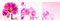 decorwelt | Dreiteiliges Wandbild 3 Teilig Acrylglasbilder Acryl Glasbild Orchidee Pink 90x30 cm Wandbilder Wohnzimmer Esszimmer Deko Wanddeko