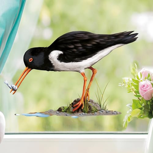 Fensterbild Frühling Austernfischer mit Fisch maritim Ostsee Nordsee Urlaub Fensterdeko Kinderzimmer Kind Osterdeko Frühlingsdeko Vögel, 2. A3 Bogen