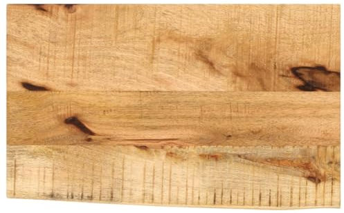 vidaXL Tischplatte, Holzplatte für Tisch Esstisch Couchtisch, Massivholzplatte Baumkante, Ersatztischplatte, 60x40x2,5cm Massivholz Raues Mangoholz