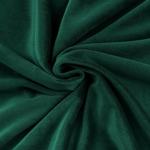 Textrend Stoff Minky - Plüschstoff - Meterware - 1 Meter 160 x 100 cm - Stoffe zum Nähen - Kinder - weich kuschelig - Glatt Flaschengrün