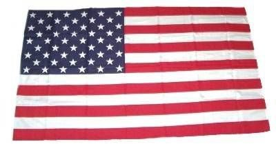 Fahne/Stockflagge USA Amerika 30 x 45 cm Flagge