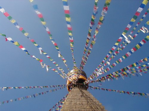 Grandi Fairtrade tibetane Bandiere di preghiera sulla lunga serie - 25 flags - lunghezza della stringa complessiva di circa 680 centimetri, ognuna misure bandiera circa 25 cm per 16 centimetri