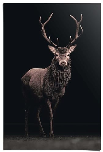 REINDERS Poster, Deer on Black, Schlafzimmer, Poster, Wanddeko, Room Decor, 150 gr. glänzend Bilderdruckpapier, Braun, 91,5x61cm