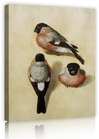 TOANGWALL Albrecht düRer Wandbilder Unikate Gemälde Druck Drei Gimpel Leinwandbilder Wandbild für Wohnzimmer Esszimmer Wohnkultur 70x84cm Innenrahmen
