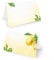 Tischkarten Set, 25 Stück: Zitronen-Design, Namensschilder für Hochzeit, Geburtstag, Taufe, Konfirmation & Kommunion, Festdeko Tisch, Platzkarten zum Beschriften, Tischkärtchen Sommer, 8,5 x 5,5 cm