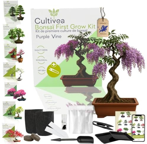 CULTIVEA® Bonsai Startkit Purple Vine – Odla Själv med Frön & Tillbehör – Presentidé Trädgård | Tillverkad i Frankrike