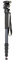 ProMaster MPH528 Monopod with Head (4485), Photography Accessories