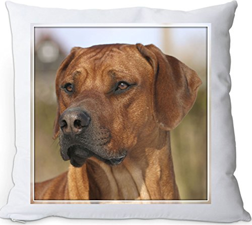 +++ Rhodesian RIDGEBACK - Kuschelkissen/KISSEN | PILLOW/Dekokissen - RRB 26