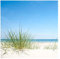 Fototapete Strand - Ostseeküste - Vliestapete Quadrat, Größe HxB: 192cm x 192cm