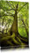 Pixxprint Riesiger Baum im Dschungel, Größe: 60x40cm, Leinwandbild, fertig gespannt, Wandbild, Dekoration, Kunstdruck, kein Poster