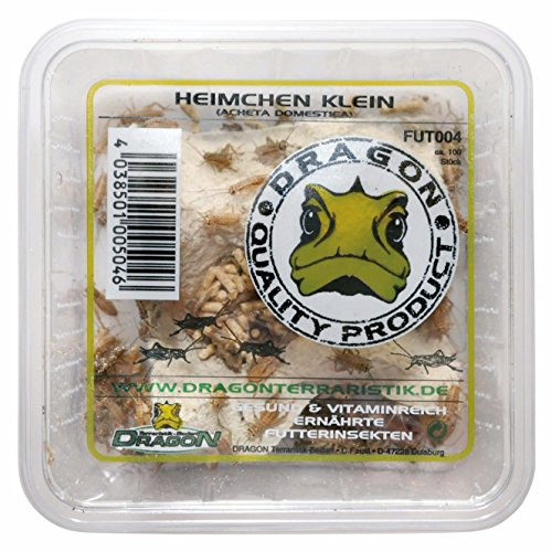 Heimchen klein in Dose ca. 100 Stück Futtertier