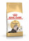 ROYAL CANIN Persische trocken 2 kg Kata- - Katzen Trockenfutter Kroketten