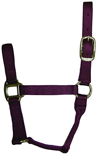Hamilton Qualität Nylon Pferd Halfter, 500–800 lb