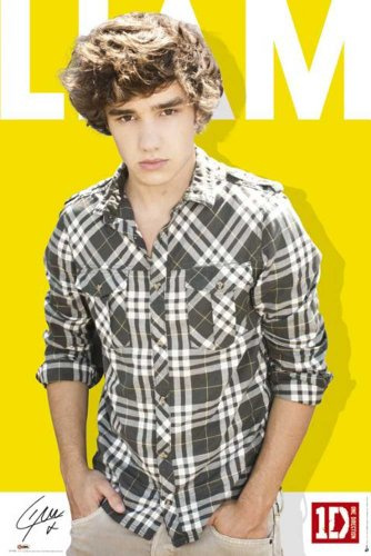 empireposter One Direction - Poster - Liam Colour