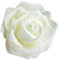 50x Schaumköpfe Blumenköpfe Kunstblumen Brautstrauß Haus Dekor Rosen - Creme
