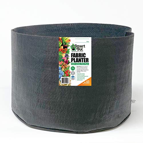 Smart Pots Récipient Côtés Flexibles 25 Gallon Noir