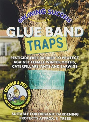 Growing Success Glue Band Traps, 1.75 m, Green
