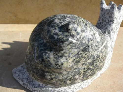 Schnecke, grün, groß