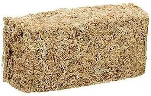 Zoo Med New Zealand Sphagnum Moss - Natürliches Terrariensubstrat für Landschildkröten und Reptilien, Sphagnum Moss, 150 gr