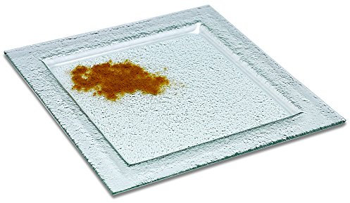 Visiodirect Assiette RECTANGULAIRE Verre L300 x lg230 mm
