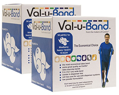 CanDo 2 x Trainingsband / Gymnastikband, Länge 45 m, Val-u-Band® - blaubeere (medium)