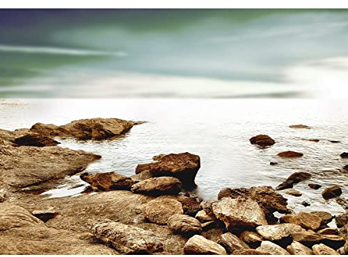 Runa Art Fototapete Strand und Meer Modern Vlies Wohnzimmer Schlafzimmer - Made in Germany - 308 x 220 cm Braun Grau 9007010a