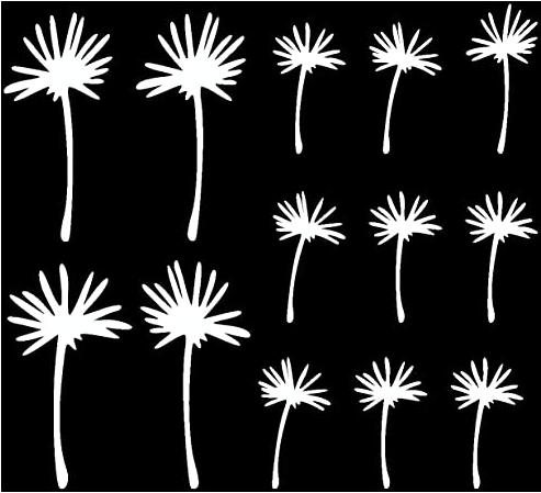 Samunshi® Pusteblume Schirmchen Wandtattoo 4 mal 11cm + 9 mal 7cm weiß