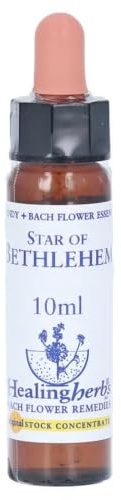 Healing Herbs Bachblüten Star of Bethlehem Tropfen, 10 ml