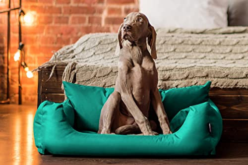 tierlando® NEMO Hundebett aus robustem Oxford 600D, Hundesofa mit herausnehmbarer Komfort-Matratze und waschbarem Bezug, für kleine & mittelgroße Hunde Größe: 65x50cm | Farbe: 13 Türkis